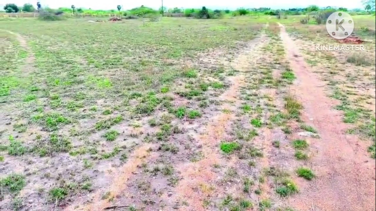 தூத்துக்குடி ஸ்ரீவைகுண்டம் காரச்சேரி அருகில் 2 ஏக்கர் நிலம் விற்பனைக்கு உள்ளது 1 ஏக்கர் 15 லட்சம் 
