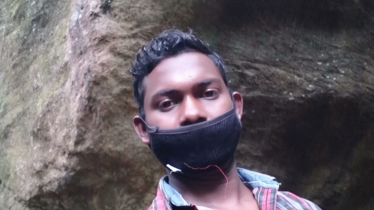 Tiger cave mankulam