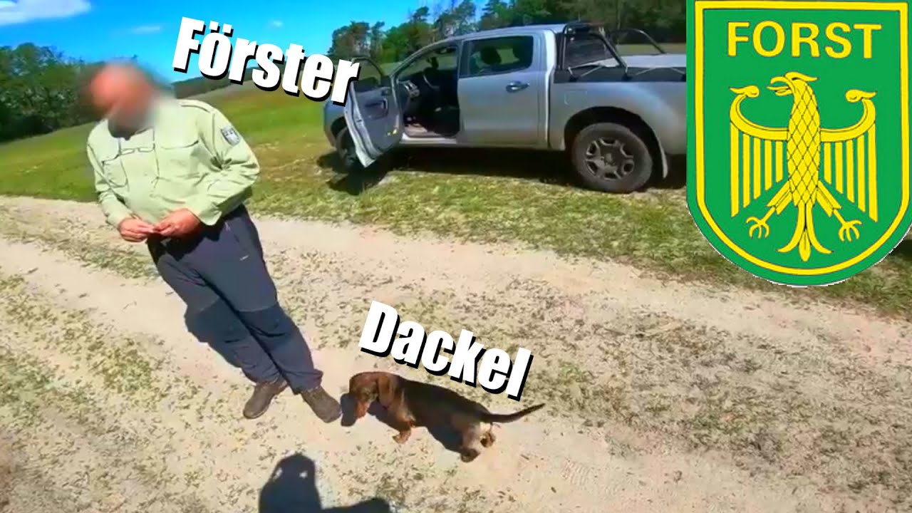 🚨 Vom Förster erwischt! 🚨 WAS NUN??? 🚨 Rechtliche Recherche 🚨 Waldgesetz 🚨 Ordnungswidrigkeiten? 🚨