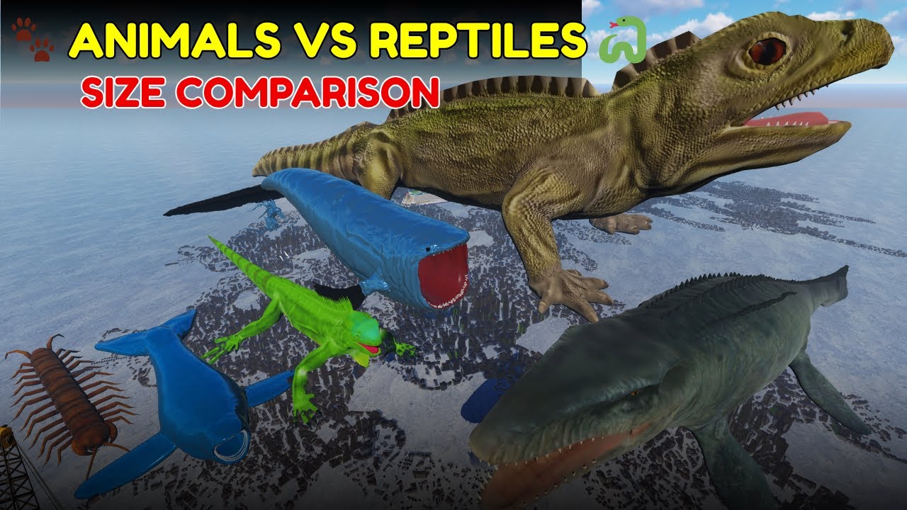 🐾 Animals vs Reptiles 🐍 | Ultimate 3D Size Comparison 2025 | Biggest & Craziest Creatures on Earth!