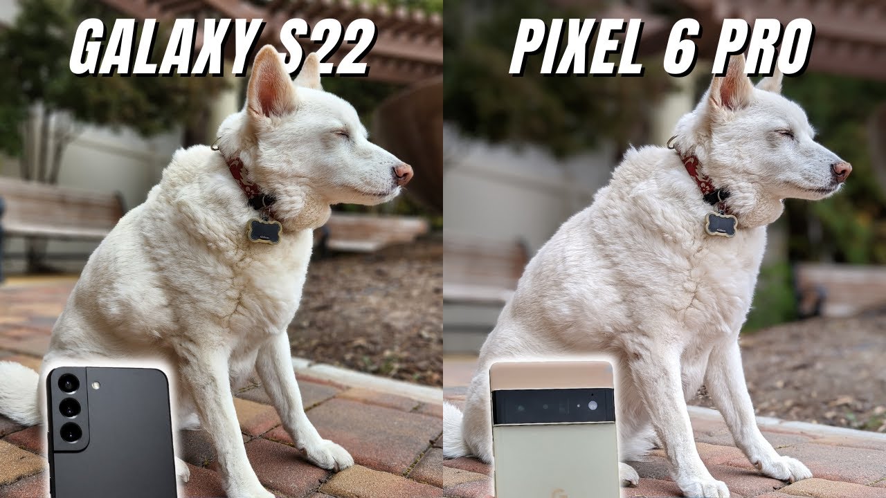 Samsung Galaxy S22 vs Google Pixel 6 Pro Camera Comparison