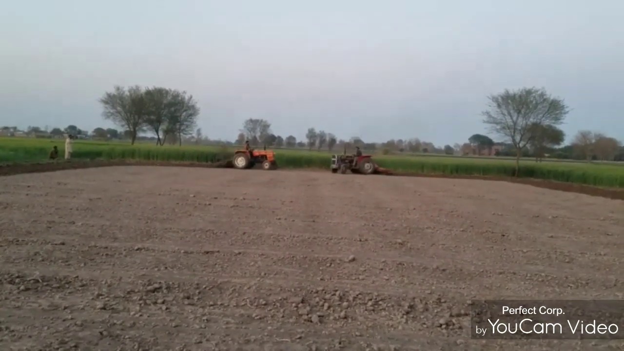 Fiat 480 vs Messey fergousen 240 ploughing comparison.specially for tractor zone and messey lovers