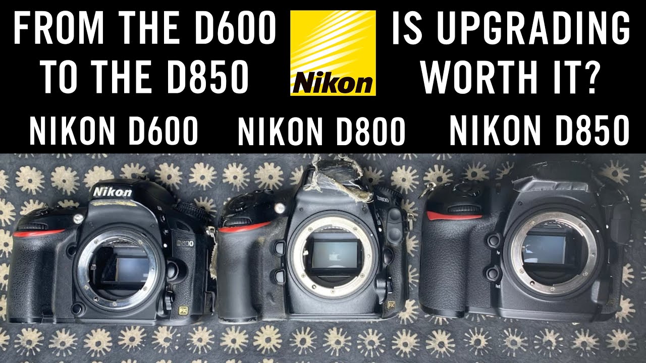 📷 Nikon D600 vs D800 vs D850 📸 SHOULD YOU UPGRADE TO D850? 🏆 DSLR v. mirrorless camera body advice 🤔