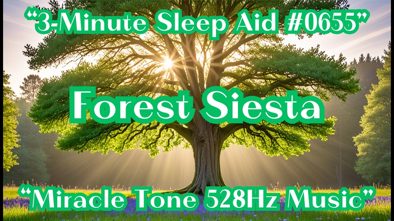 [3-Minute Sleep Aid #0655] Ultimate Rest for Astonishing Healing Effects [Miracle 528Hz]