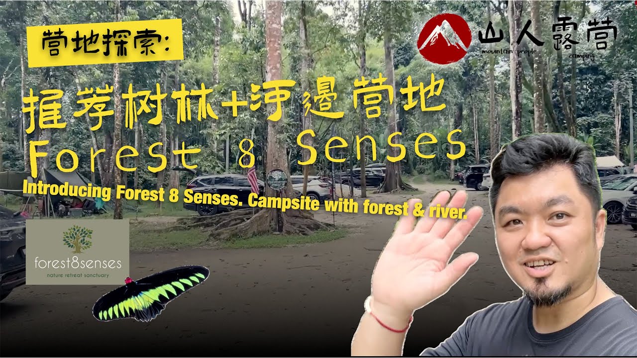 Forest 8 Senses Walkthrough / 营地走透透