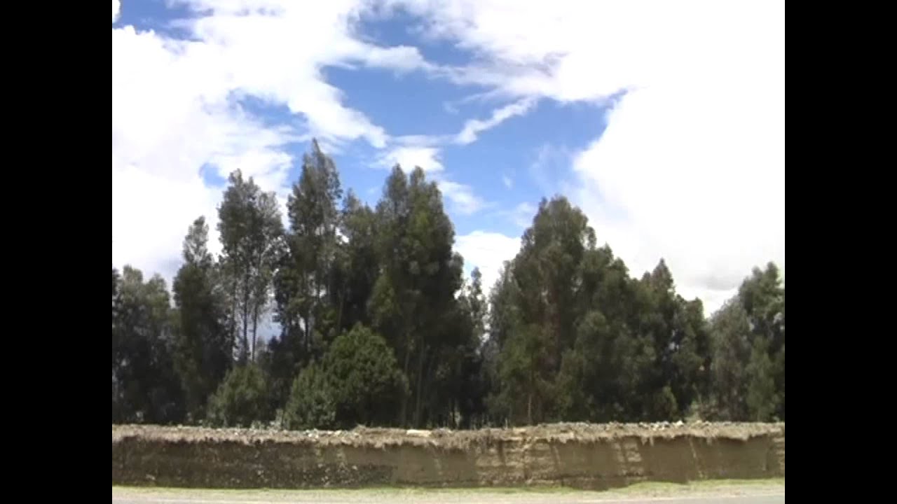 Nicolas caro c.y su conjunto sentimiento andino de catac