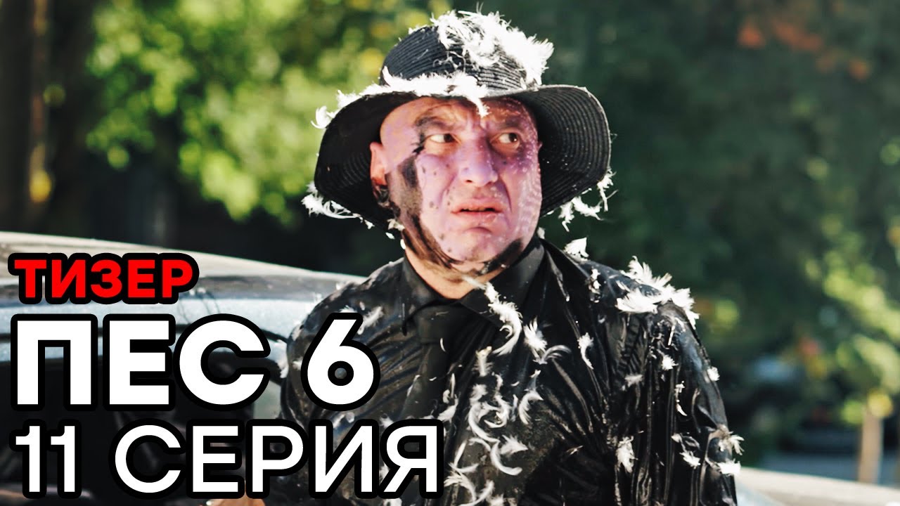 Сериал ПЕС 6 - 6 сезон - 11 серия - ТИЗЕР | СЕРИАЛЫ ICTV