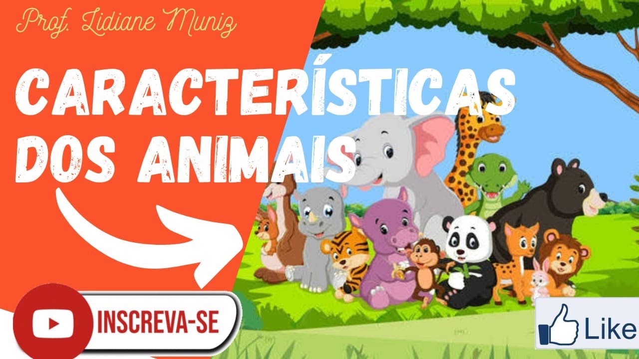CARACTERÍSTICAS DOS ANIMAIS ( AULA DE CIÊNCIAS/CLASSIFICAÇÃO DO ANIMAIS)