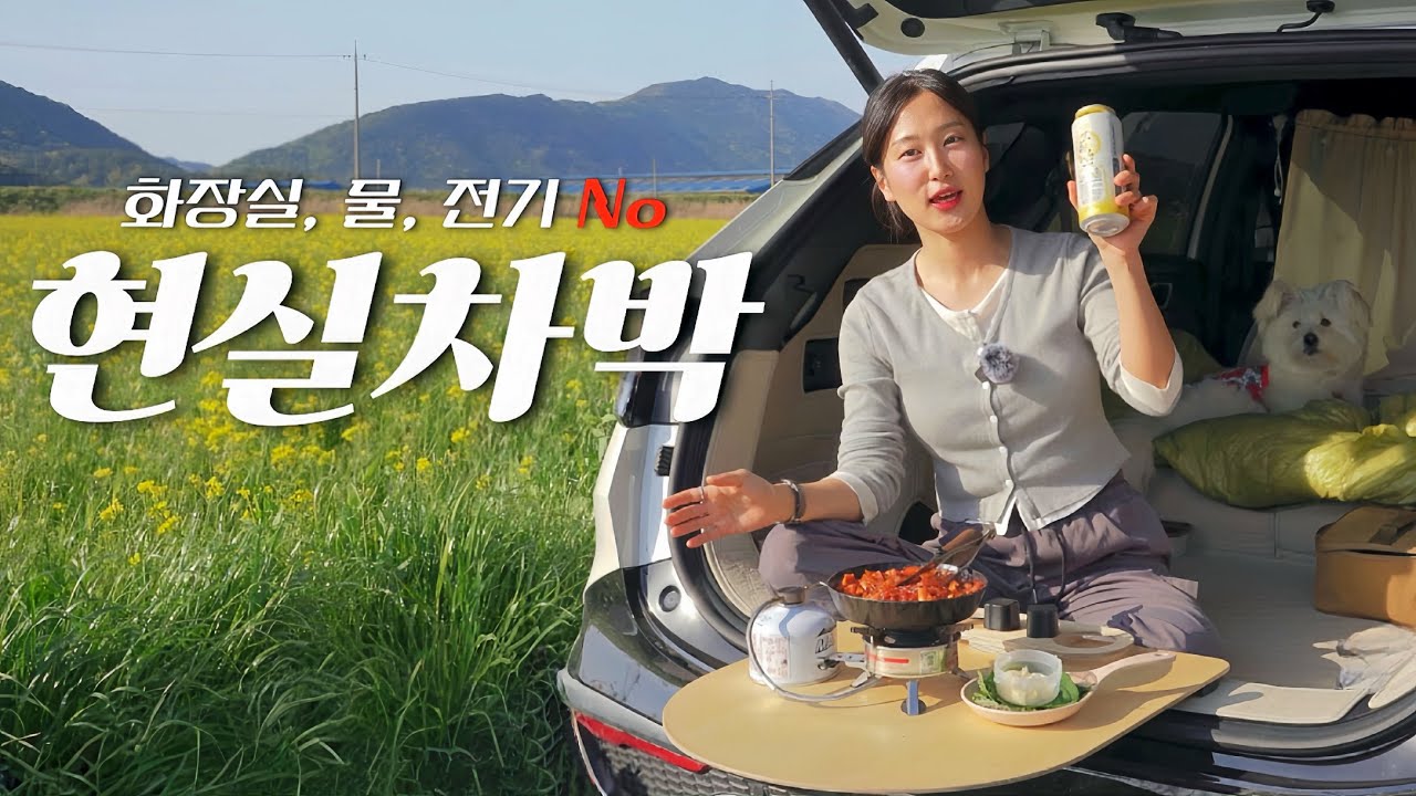 화장실 없는 노지에서 어떻게 씻고 용변을 보나요? &lsquo;이것&rsquo;만 챙기세요😋 스포티지 차박 | 보령 차박 | 웅천 유채꽃밭 | 솔로 차박 | 노지차박 | 노지캠핑 | 솔로캠핑