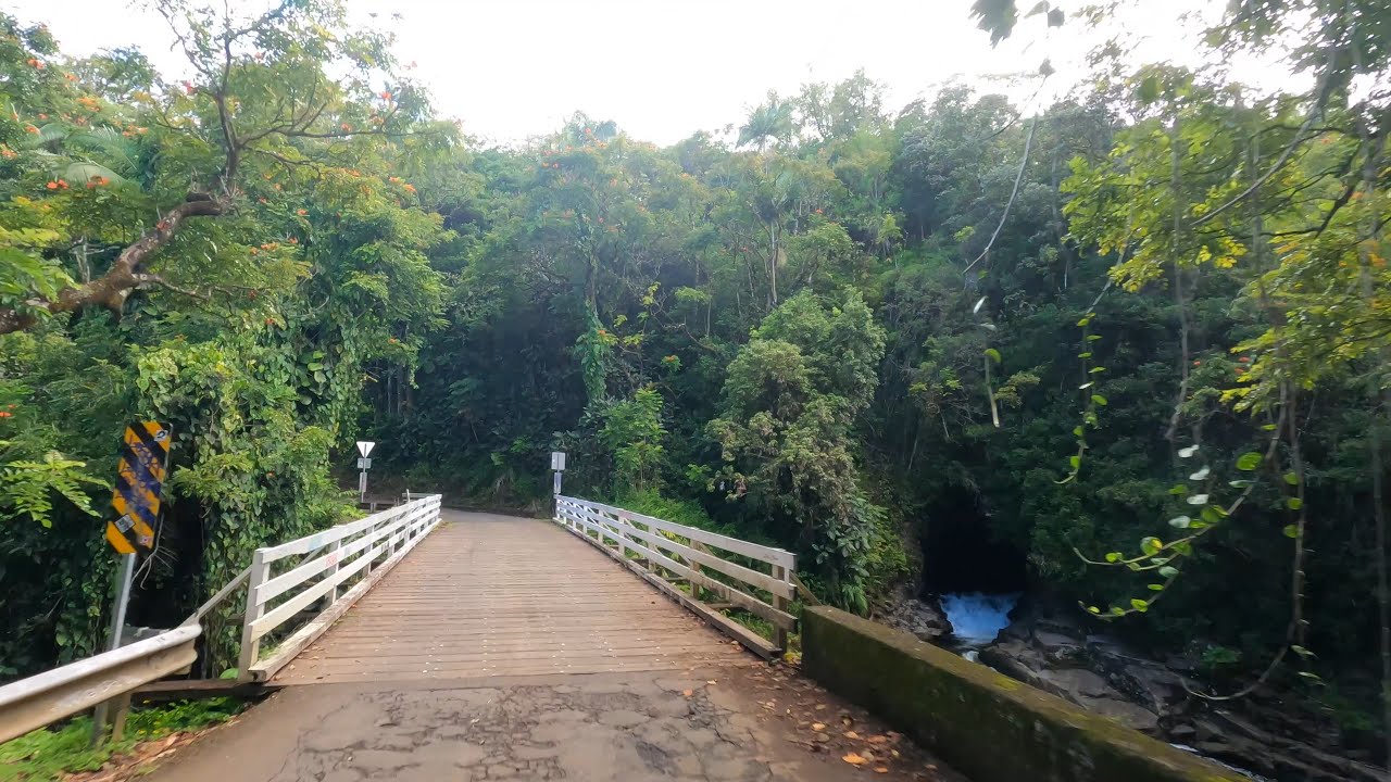 [Virtual Roadtrip] Old Mamalahoa Highway Scenic Route, Big Island, Hawaii (Akaka towards Hilo)