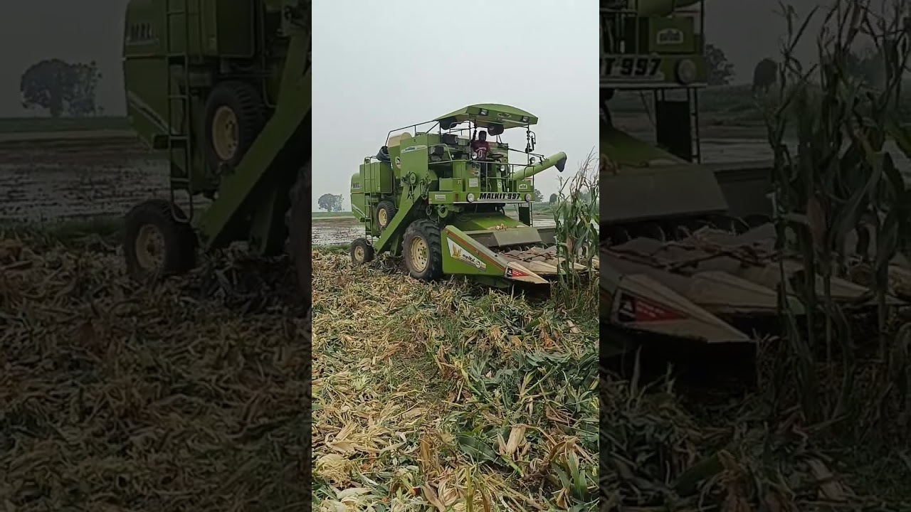 #shorts malkit combine maize harvester #viral #vedio