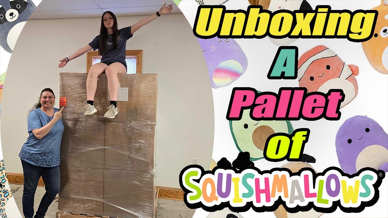 Unboxing this Entire Pallet of Hundreds of Squishmallows With Faith Check out what We got!