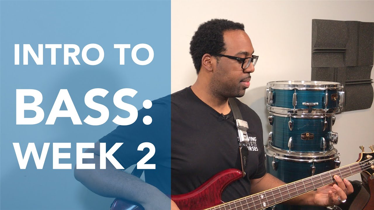 Intro to Bass - Whole Steps, Half Steps, and the Major Scale (Starving Artists Courses)