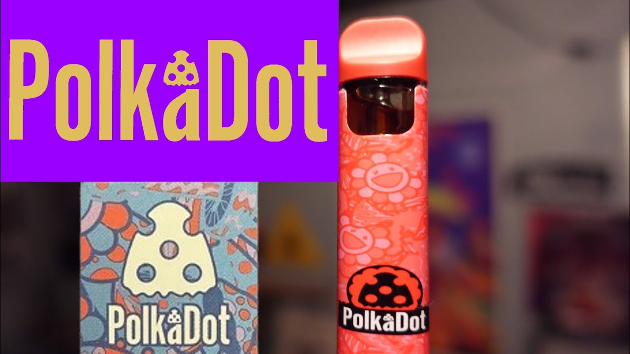 POLKA DOT DISPOSABLE