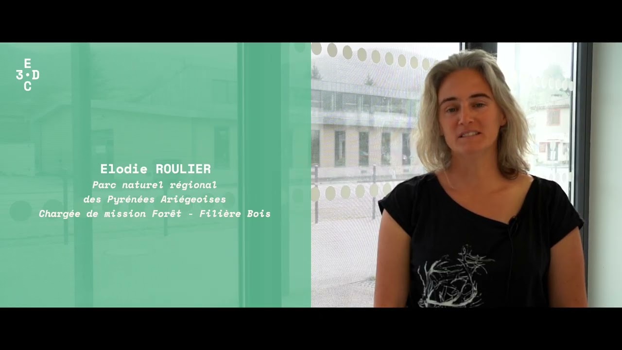 Bois des Pyrénées -  Élodie Roulier