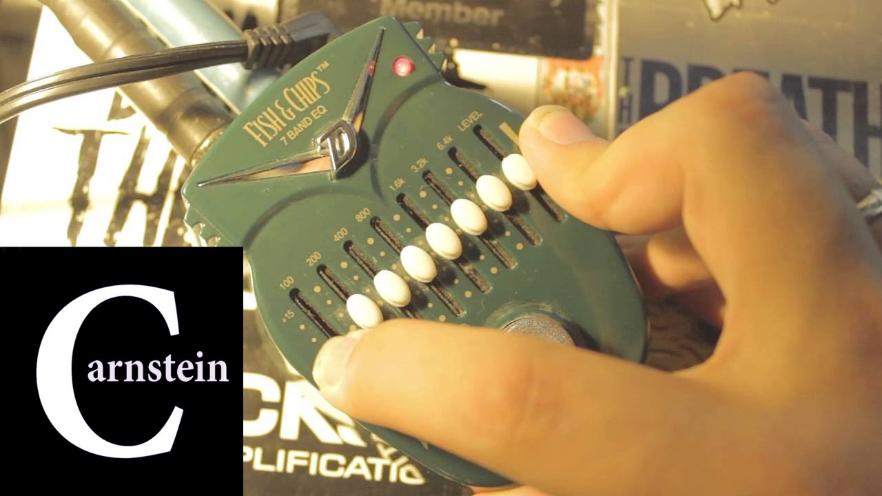 Danelectro Fish & Chips 7 Band EQ Demo