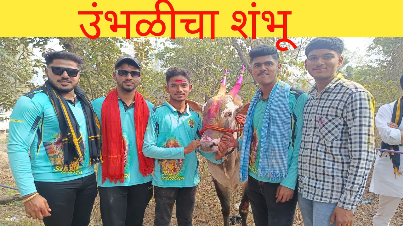 बैल पंधरा दिवस बांधून ठेवत असत कारण तर पयरा नाय मिळत पण आज त्यांना करून दाखवले सर्वांचे दिवस येतात..