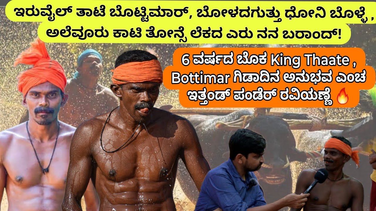 6 ವರ್ಷದ ಬೊಕ King Thaate , Bottimar ಗಿಡಾದಿನ ಅನುಭವ ಎಂಚ ಇತ್ತಂಡ್ ಪಂಡೆರ್ ರವಿಯಣ್ಣೆ 🔥Aladangady Ravikumar