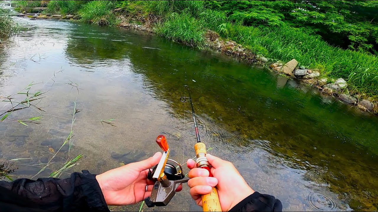 【渓流ルアー】夏ヤマメを狙っていたら…