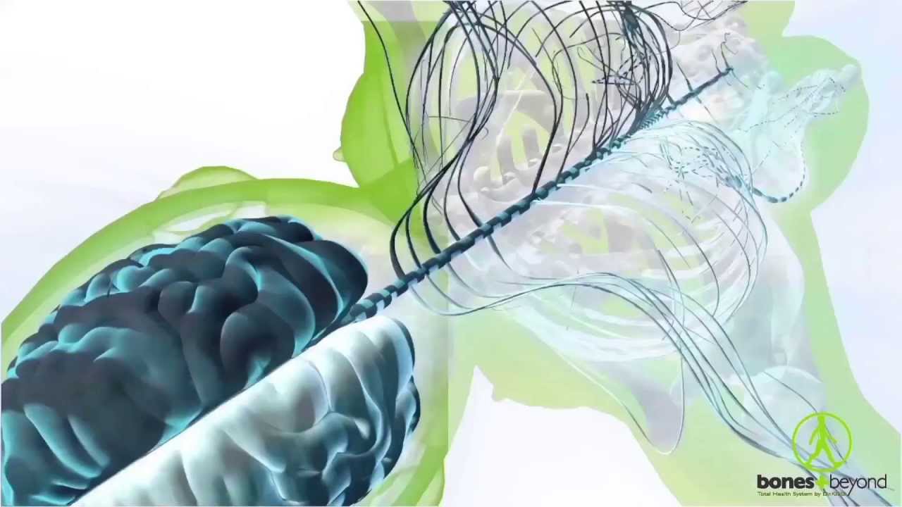 Scoliosis Educational Video, Understanding Scoliosis English by Bones and Beyond