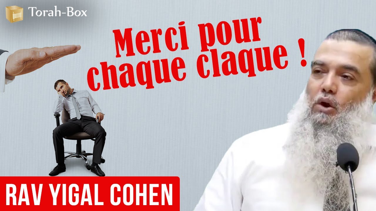 Merci pour chaque claque (Rav Yigal Cohen)