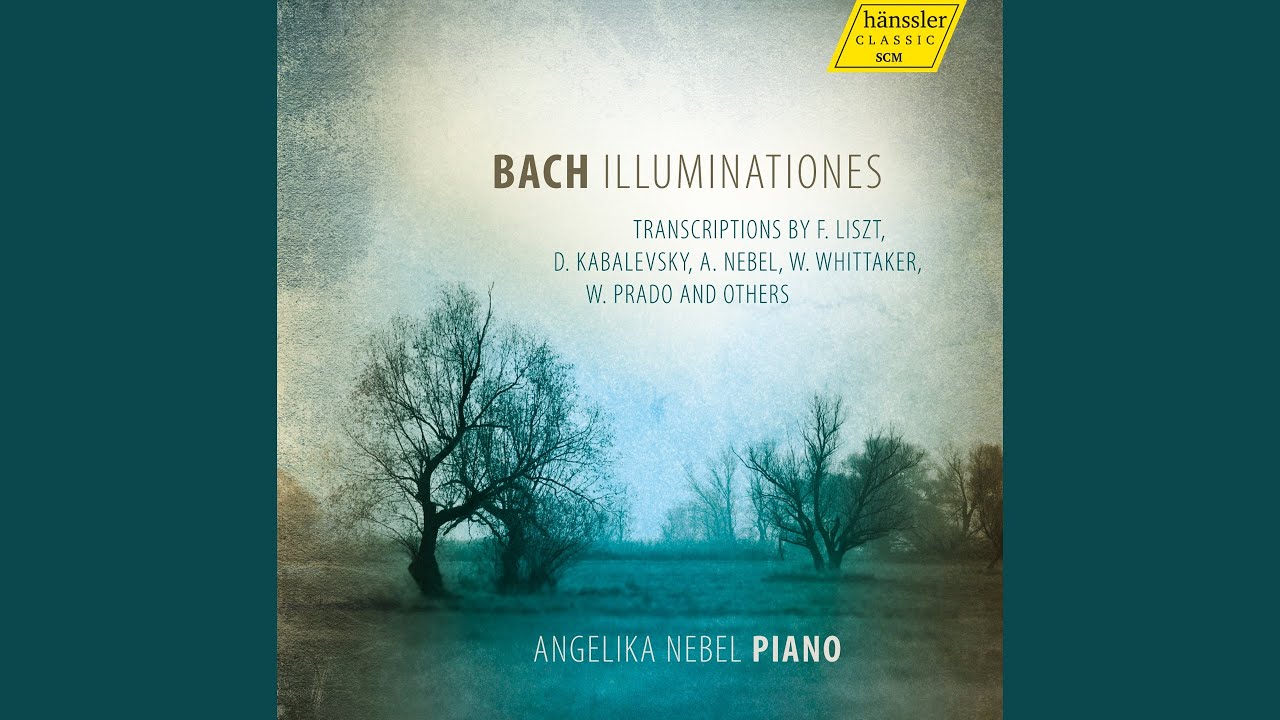 Violin Partita No. 2 in D Minor, BWV 1004: IV. Gigue (arr. F. Zabel for piano)