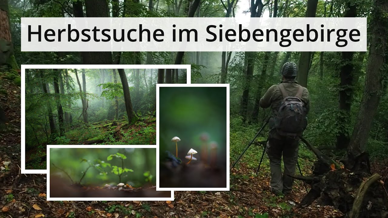 Naturfotografie: Auf der SUCHE nach dem HERBST im SIEBENGEBIRGE
