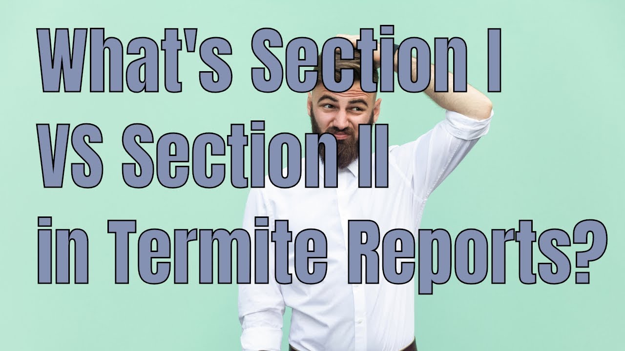 Termite Reports Section I VS Section II. 🤷&zwj;♂️ What's the difference?