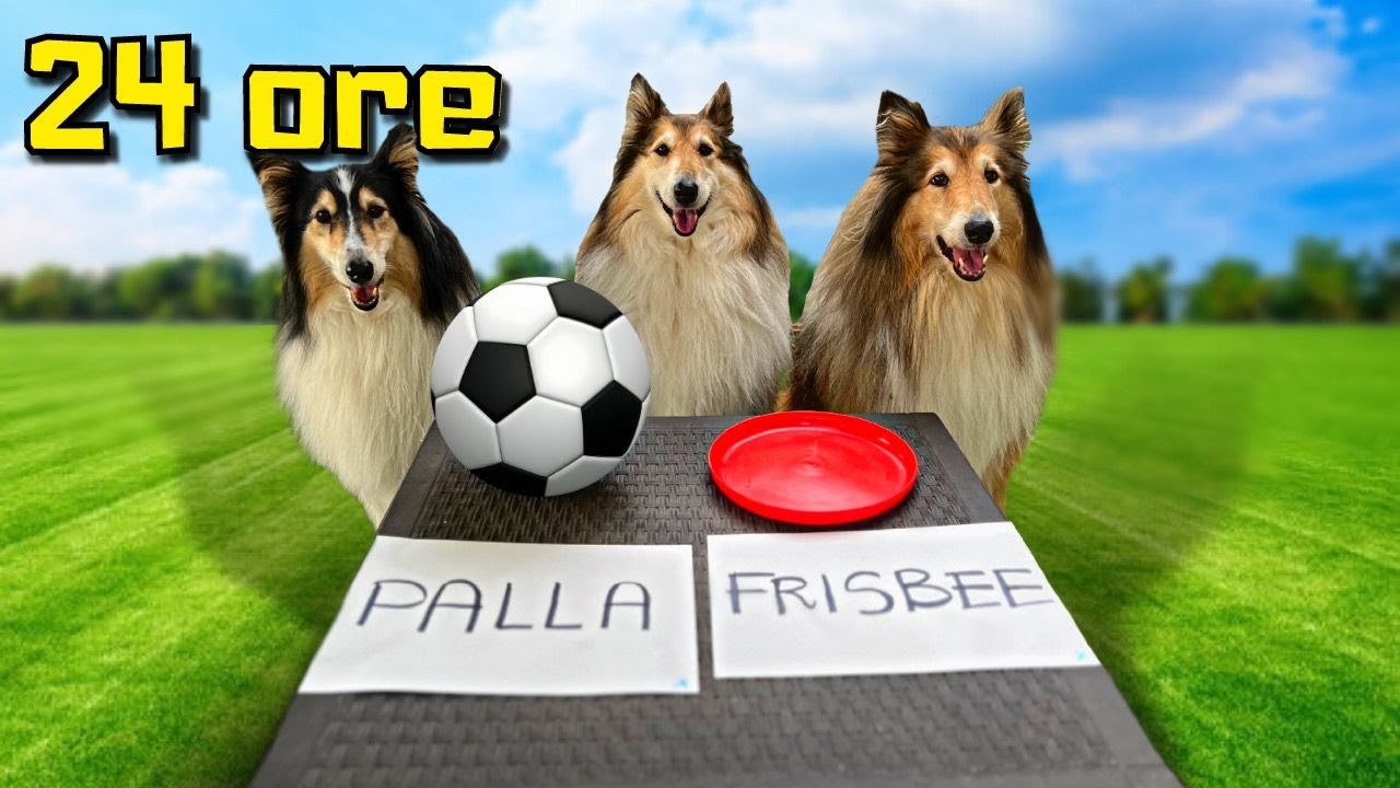 I MIEI CANI COMANDANO la loro VITA per 24 ore MA..
