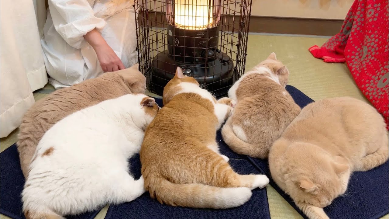 大渋滞を引き起こすストーブ