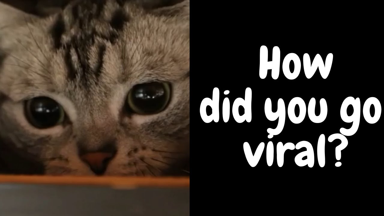 This will be the strangest story you hear all day...