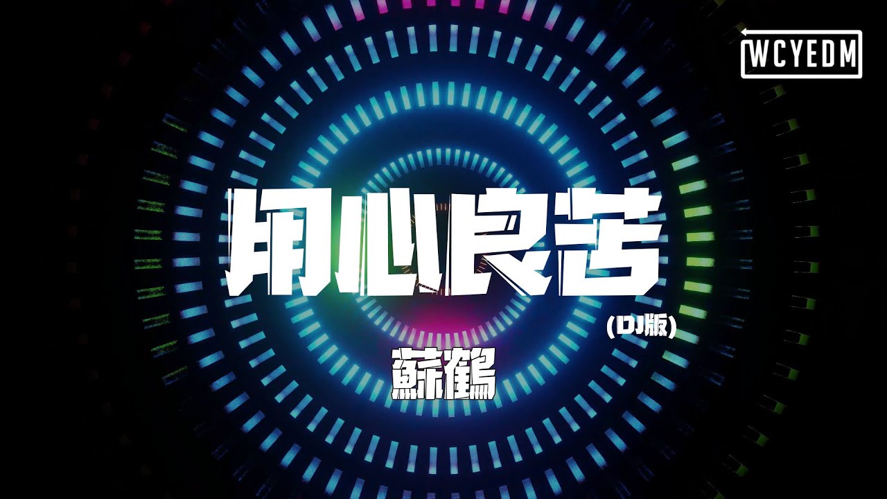 苏鹤 - 用心良苦 (DJ版)「你说你 想要逃 偏偏注定要落脚」【動態歌詞/pīn yīn gē cí】