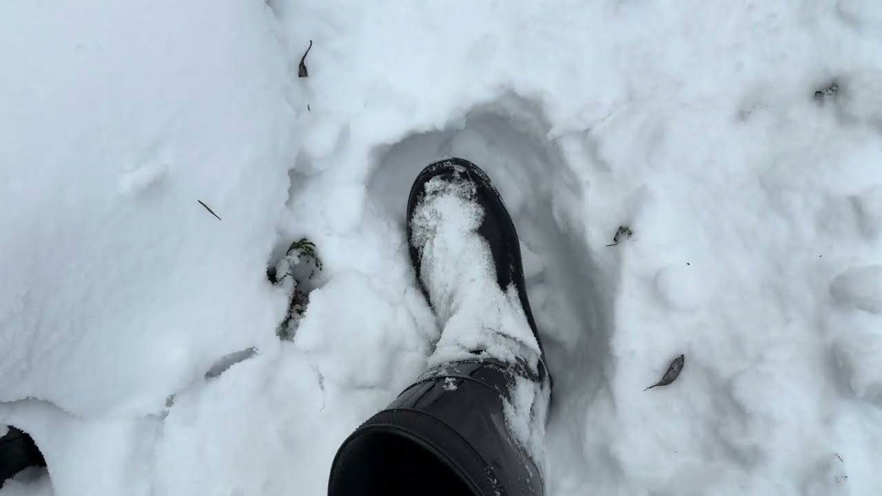 4K เดินท่ามกลางพายุหิมะ—Walking Alone in Heavy Snow [ Nature Documentary ]