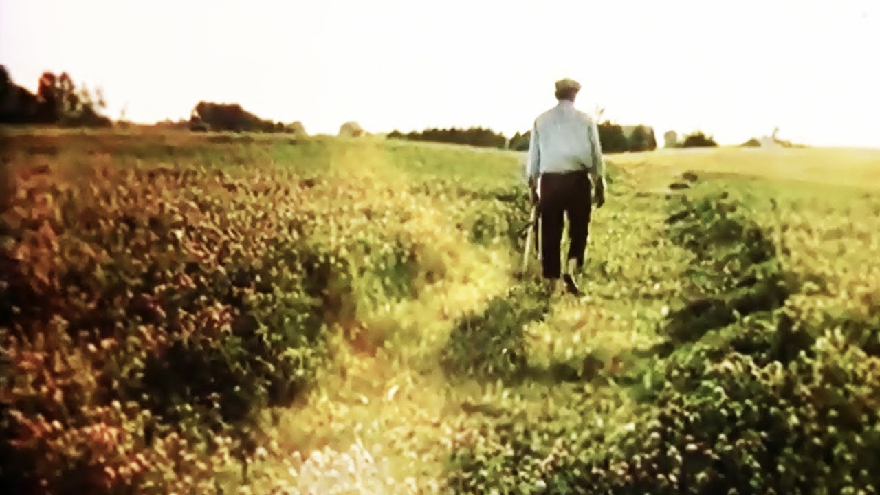 Samogitian folk song | Žemaičių liaudies daina - Pjaun lunkuo šyną