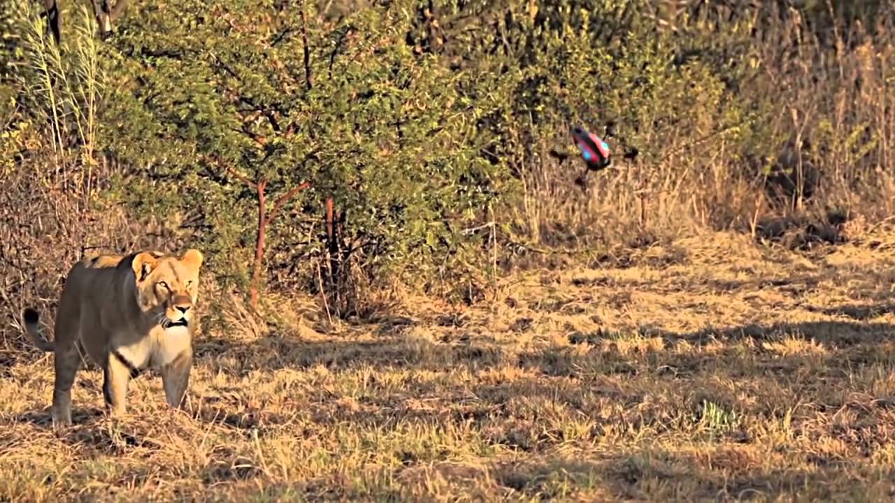 Обзор на русском parrot ar.drone 2.0