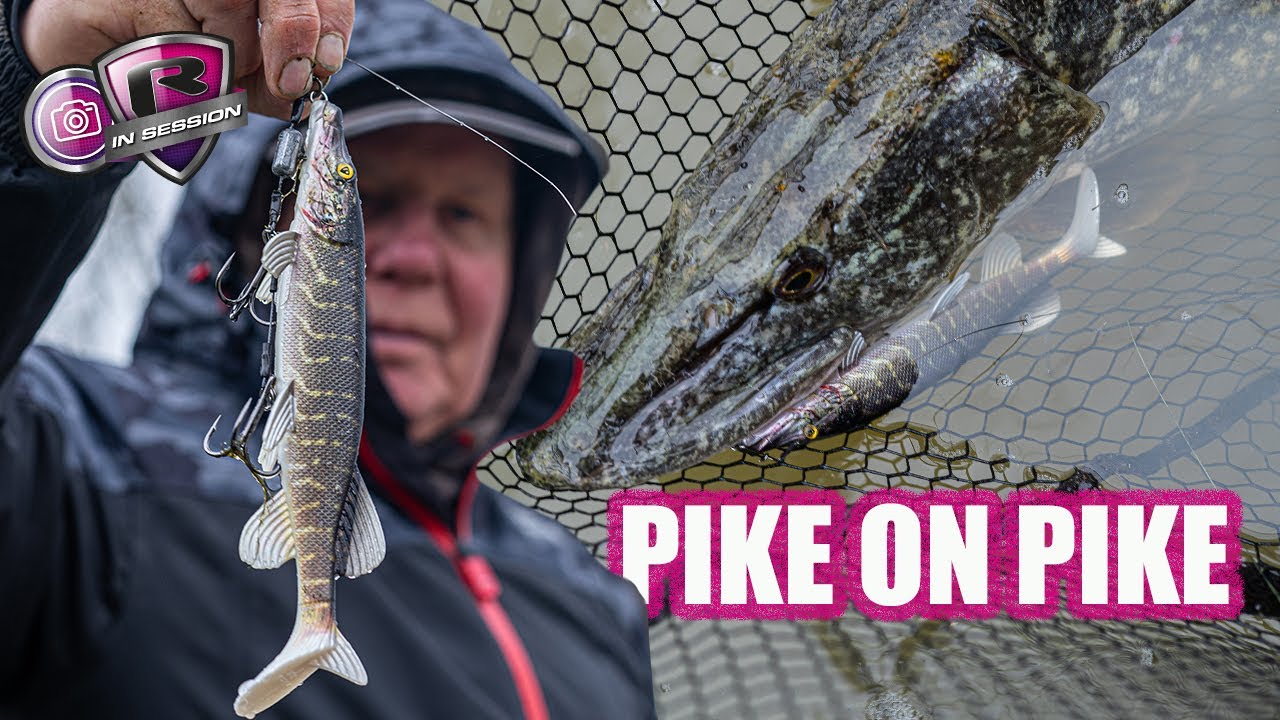 PIKE FISHING WITH REPLICANTS | Hungry pike move in to backwaters on a flooded Thames | Pike lures