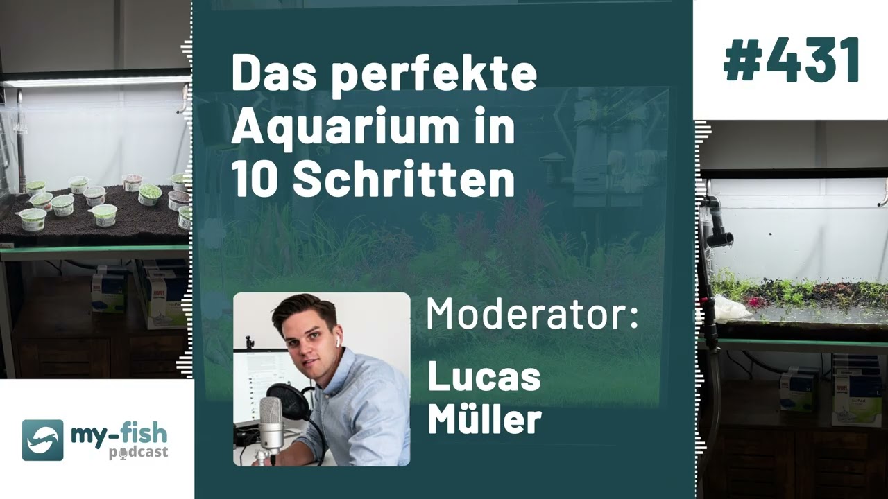 my-fish.org - Das perfekte Aquarium in 10 Schritten – Leitfaden für erfolgreiche Aquaristik