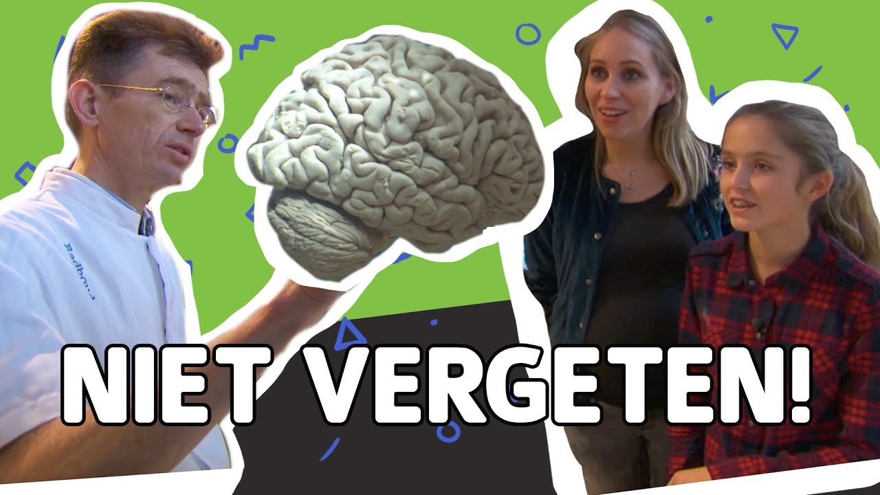 WAT GEBEURT ER IN DE HERSENEN VAN IEMAND MET ALZHEIMER // Willem Wever // #73