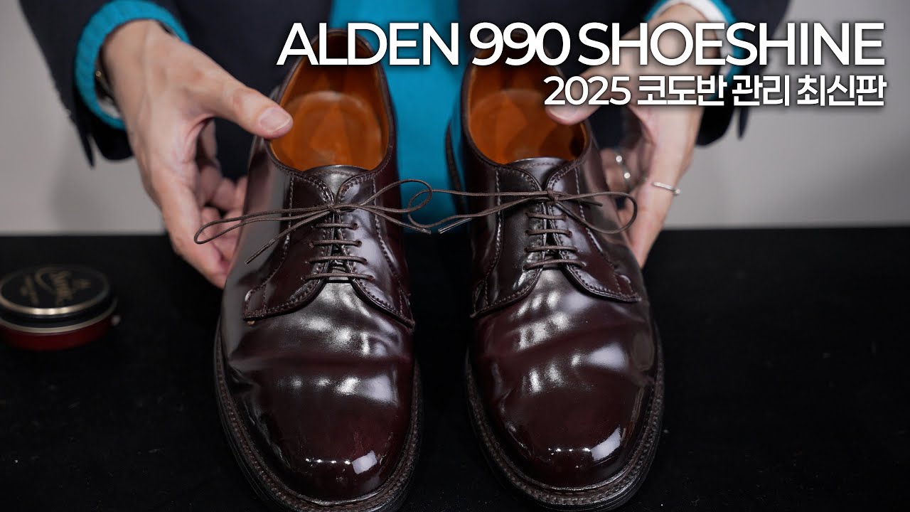 2026년 가장 최신판 코도반 관리부터 샤인까지!!