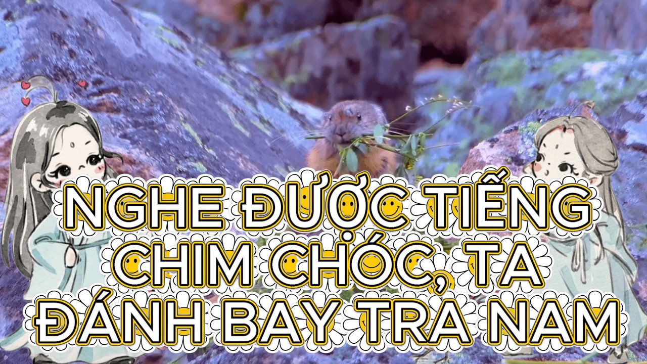 [AUDIO FULL] NGHE ĐƯỢC TIẾNG CHIM CHÓC, TA ĐÁNH BAY TRA NAM