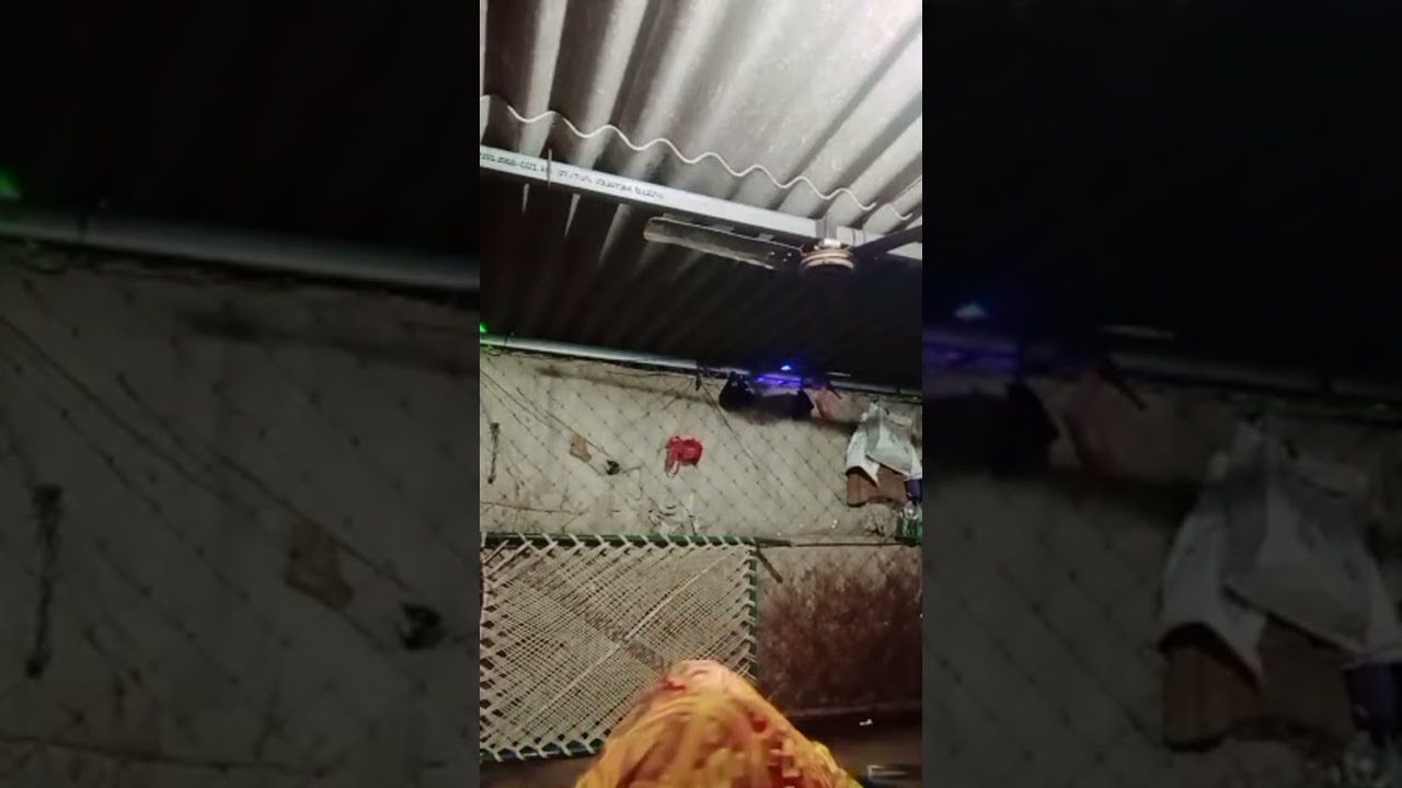 Muliya keshu Muliya लाइव है! की हाइलाइट 