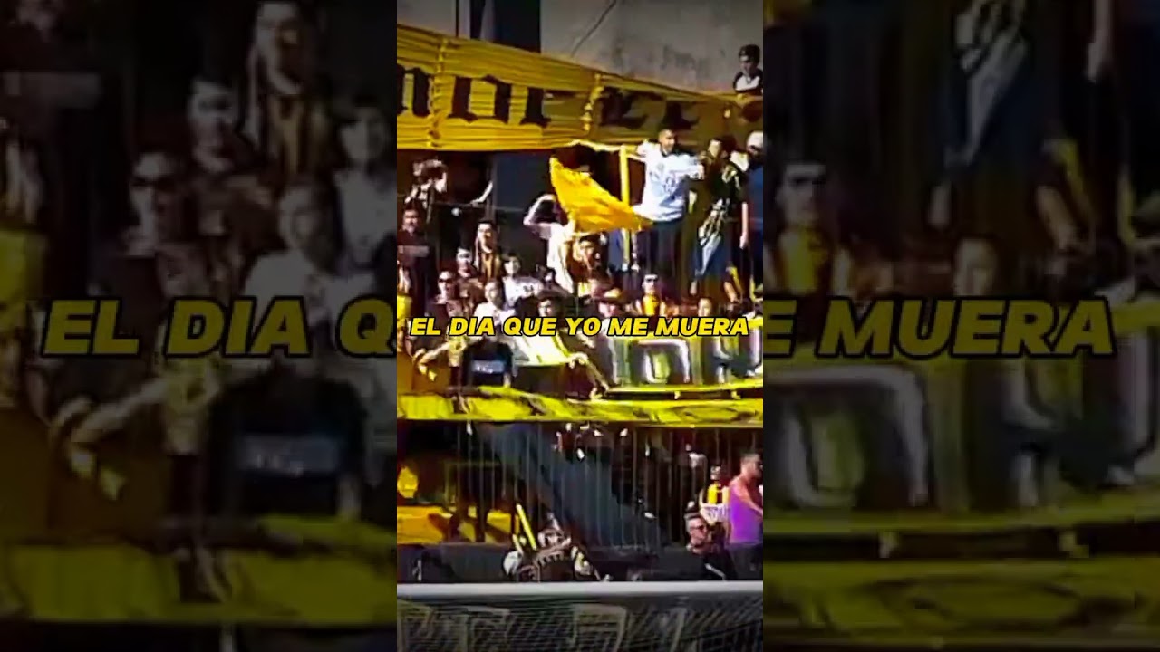 LA 74 DE ARGENTINA 💛🖤💛