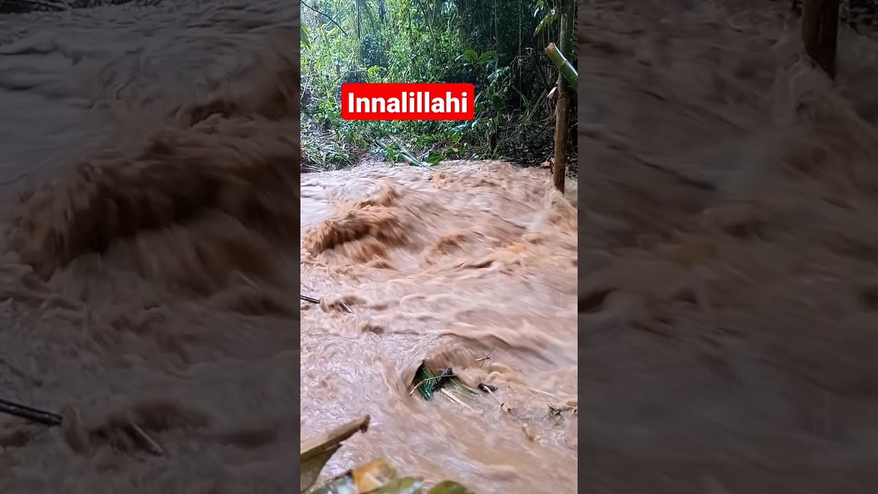 Air sungai meluap#solocamping #solocampinghujanderas #shorts#shortvideo