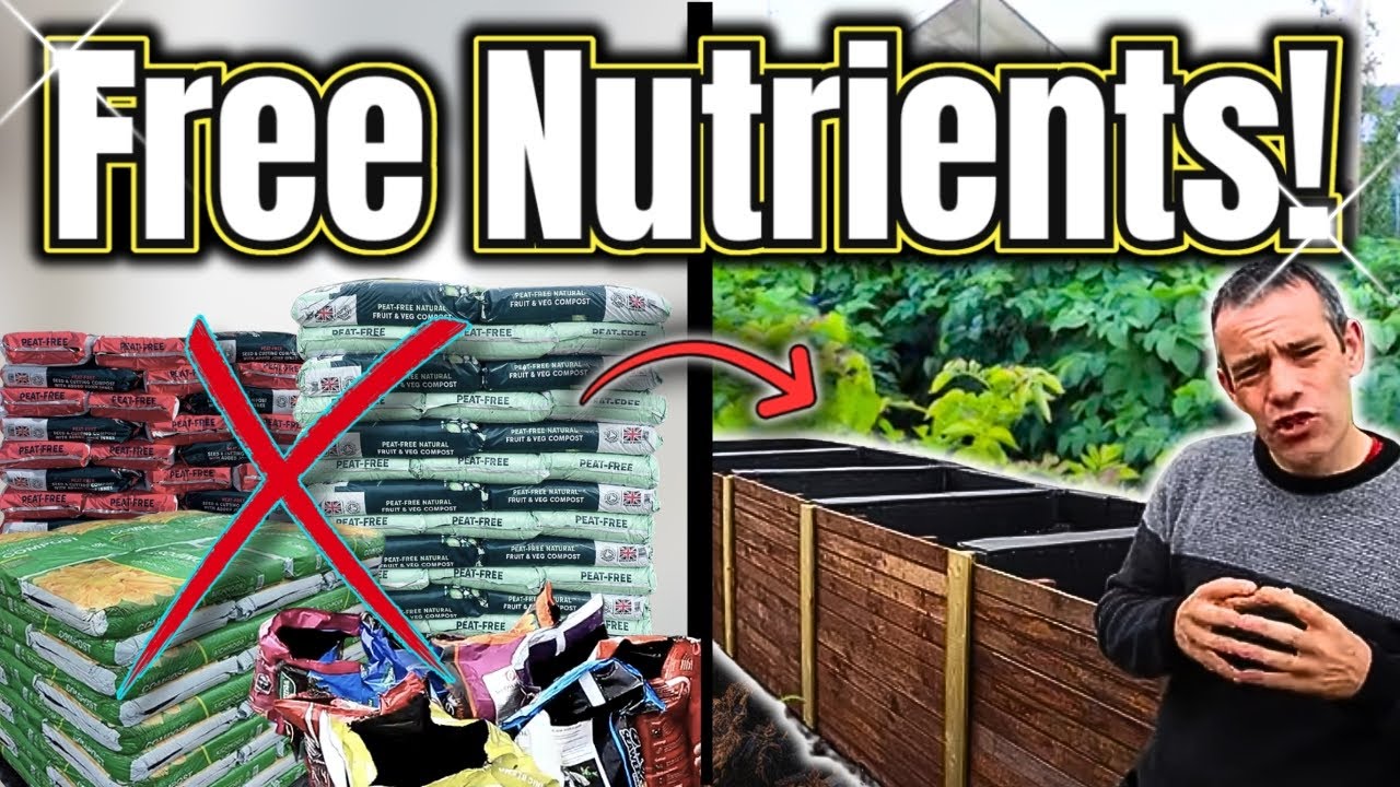 Stop Buying Compost! Build This Bin Instead
