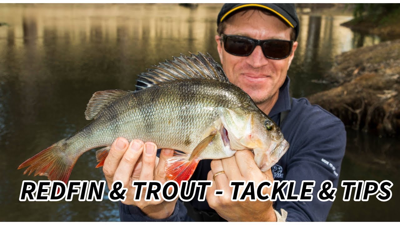 A Few Quick Flicks - Part 1 - Trout, Redfin and more!