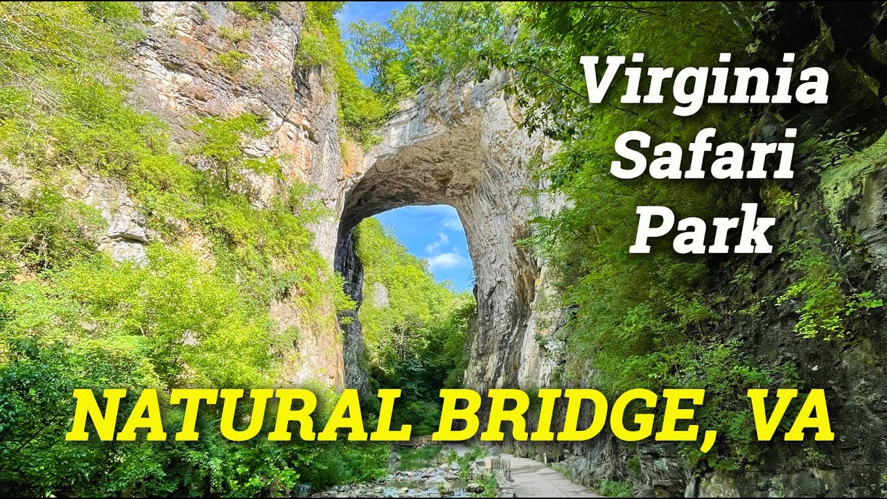 Natural Bridge, Va |  Virginia Safari Park
