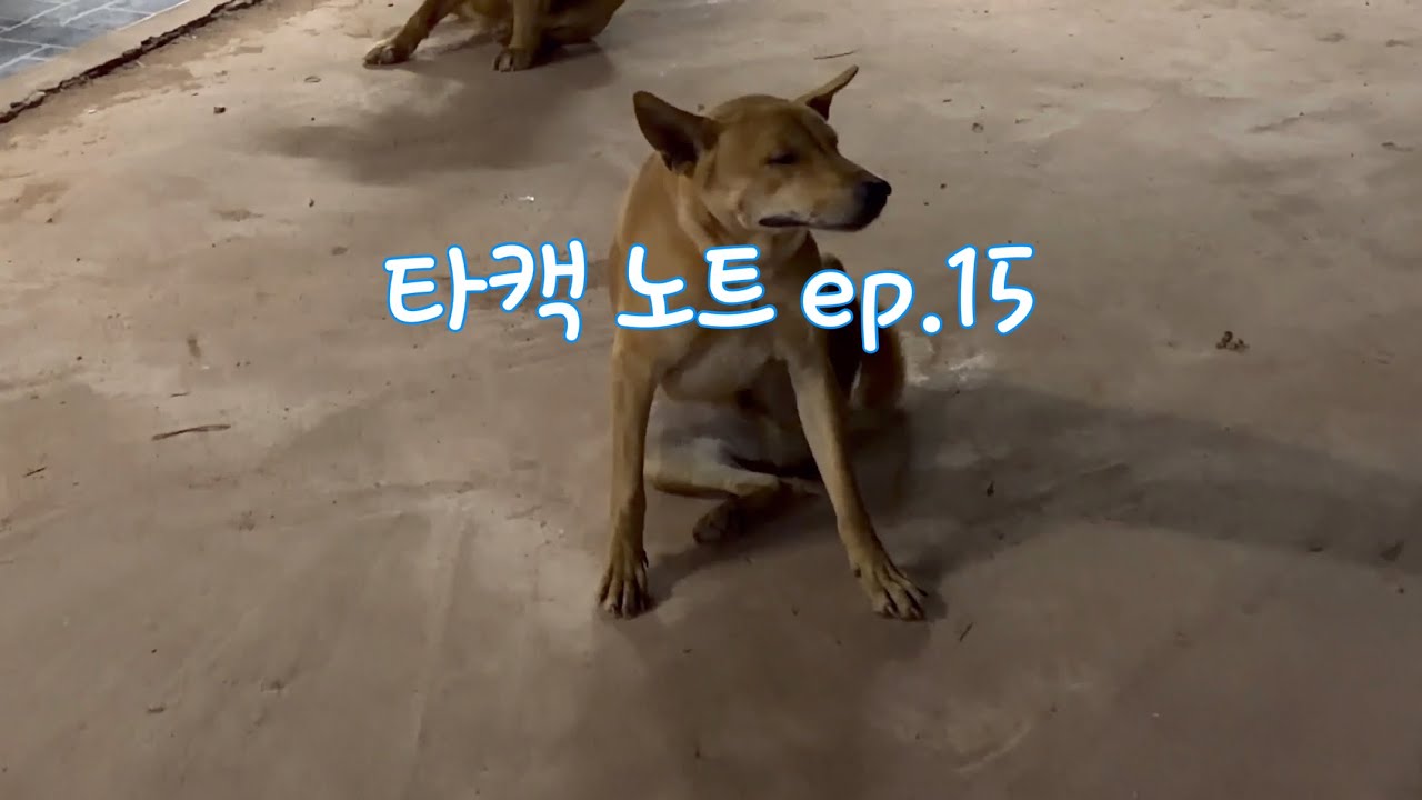 #타캑노트 ep.15 스쿠터를 샀다 - 나보 시장