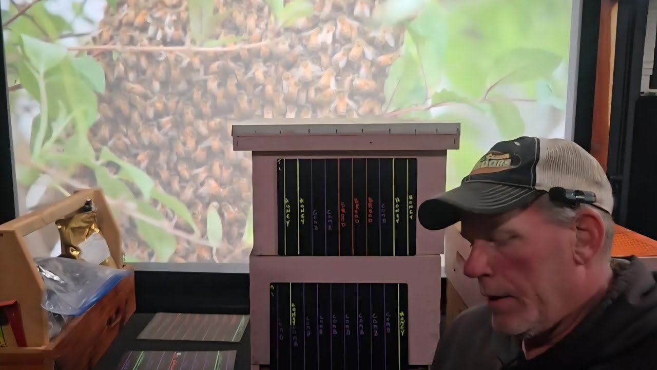 Demaree Split to prevent swarming