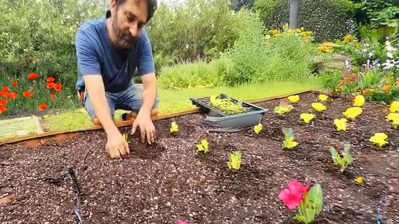 Huerta en Cajones: Cómo Armarla Paso a Paso y Sin Errores.