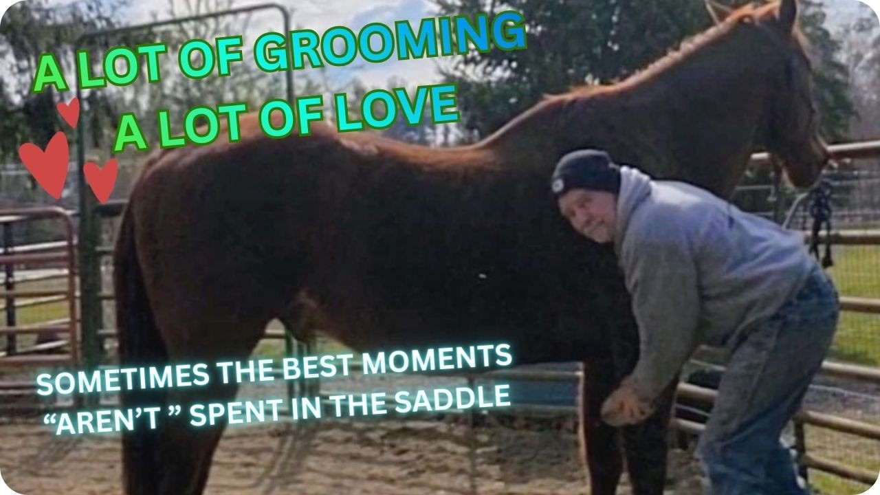A little grooming a whole lot of LOVE
